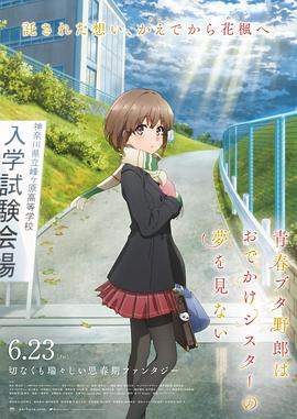 国产精品毛片高清在线完整版